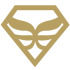 Accessory Logo